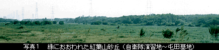 緑におおわれた紅葉山砂丘（自衛隊演習地から屯田基地）の写真