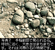 手稲前田で見られる石の写真