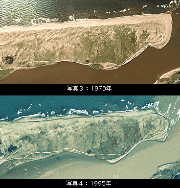河口地区の1978年と1995年の航空写真