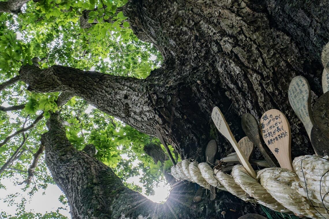 写真:母の祈り