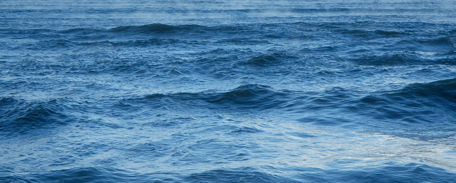 写真：海の水面