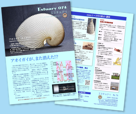 紙面：エスチュアリ