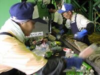 写真：資源ごみの選別の様子