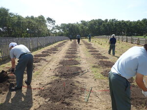 写真：作業風景2