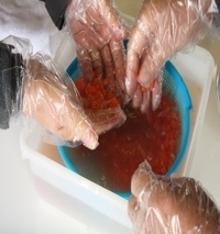 写真：いくら醤油漬け造り体験1