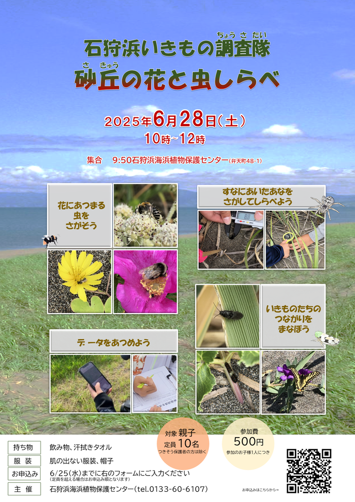 石狩浜いきもの調査