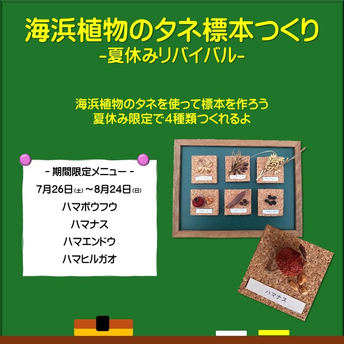 夏休み03