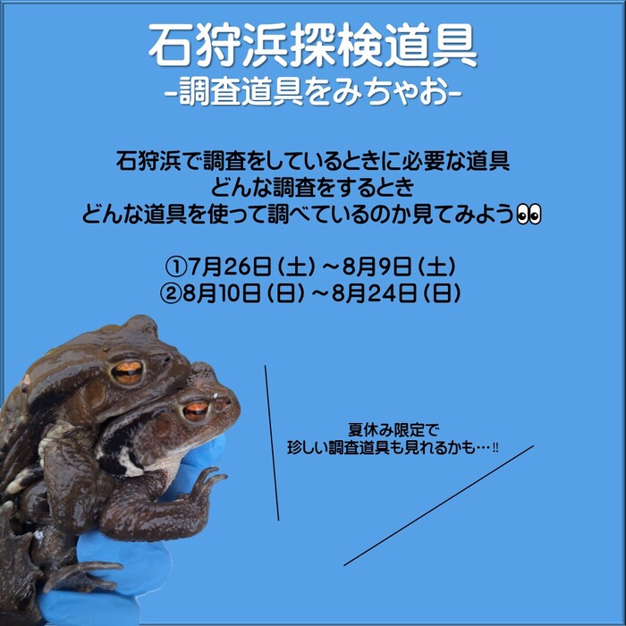 夏休み04