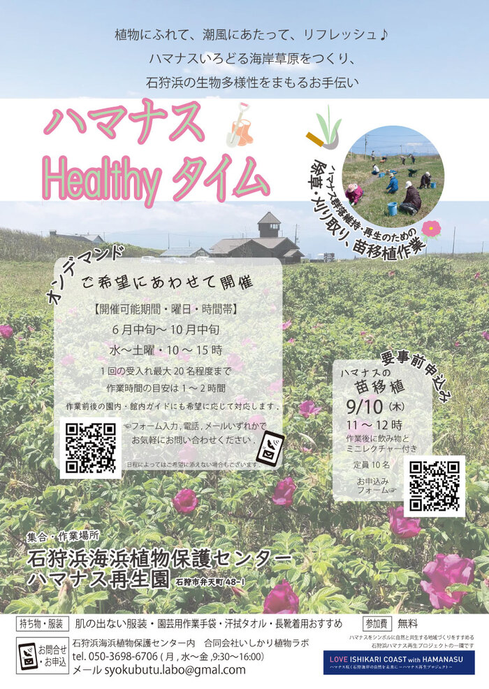 healtyタイム