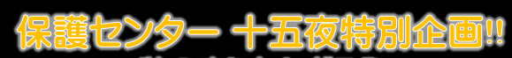 十五夜