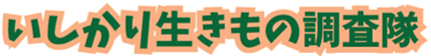 いきもの調査隊