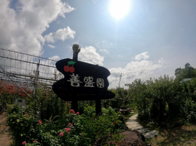 写真：善盛園