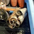 写真：白樺