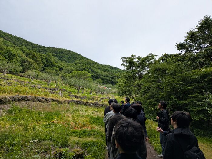 果樹園の視察の様子