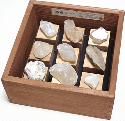 標本箱の見本