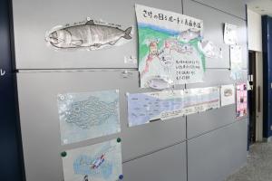 ガイドさんの手作り　｢鮭の一生｣の展示