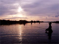 浜益川でサケ釣りをしている写真