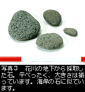 花川の地下から採取した石の写真