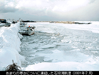凍結した石狩湾新港（2001年2月）の写真
