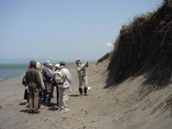石狩浜自然観察会の写真