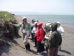 石狩浜自然観察会の写真