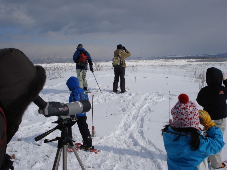 冬のこども自然観察会の写真