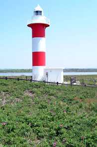石狩灯台の写真
